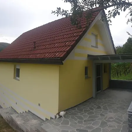 Moderno Opremljena Hisa Z Odmaknjeno Lokacijo Dolenjske Toplice