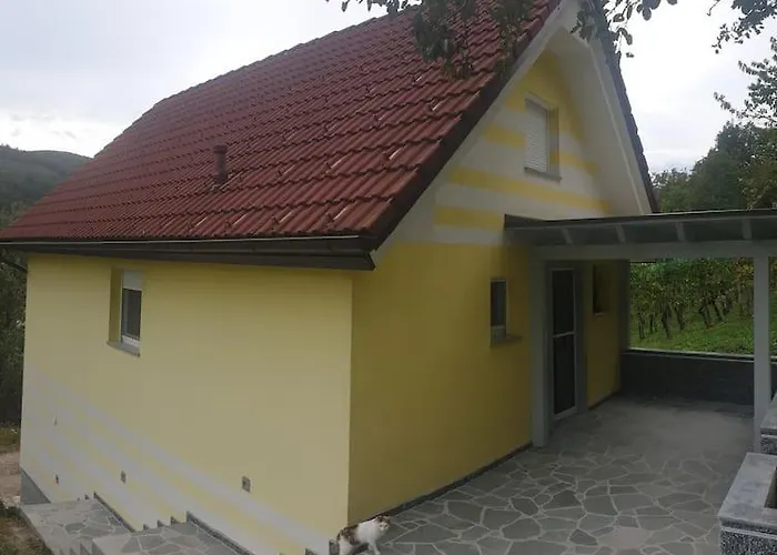 Moderno Opremljena Hisa Z Odmaknjeno Lokacijo Dolenjske Toplice
